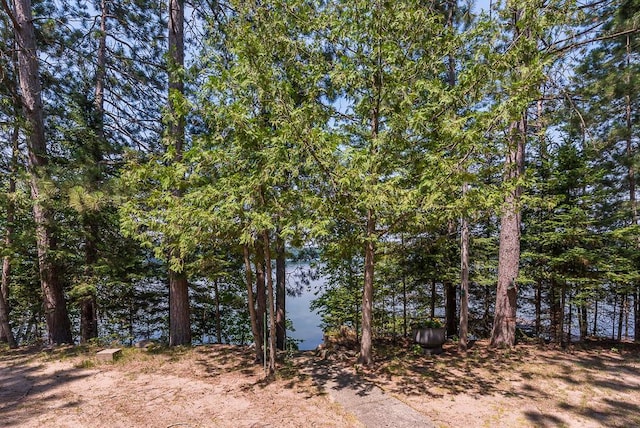 27601 County Road 107, Pequot Lakes, MN 56472 - photo 12