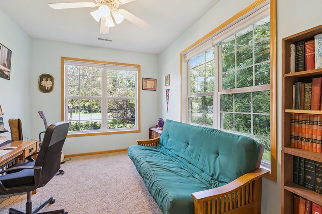 18384 Xerxes St NW, Elk River, MN 55330 - photo 19
