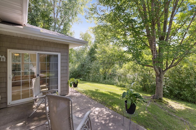 18384 Xerxes St NW, Elk River, MN 55330 - photo 23