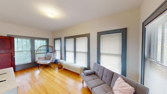 626 Park Ave, Albert Lea, MN 56007 - photo 26