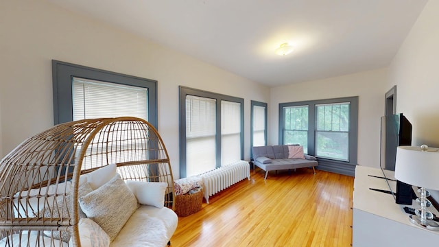 626 Park Ave, Albert Lea, MN 56007 - photo 27