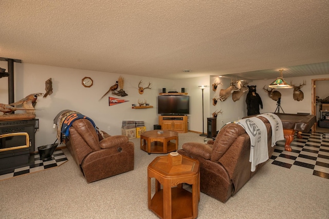 73134 185th Ave, Hayfield, MN 55940 - photo 30
