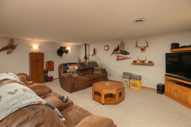 73134 185th Ave, Hayfield, MN 55940 - photo 31