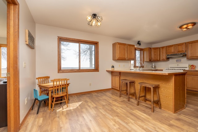 36350 276th St, Henderson, MN 56044 - photo 11