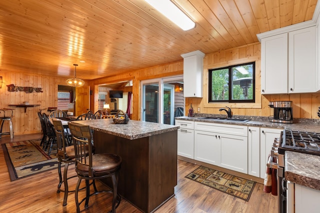 35345 Lake Bertha Cir, Pequot Lakes, MN 56472 - photo 4