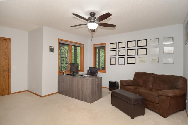294 118th Ave NW, Coon Rapids, MN 55448 - photo 29
