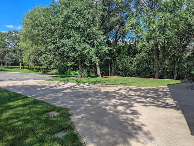 294 118th Ave NW, Coon Rapids, MN 55448 - photo 36