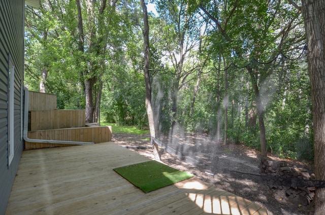294 118th Ave NW, Coon Rapids, MN 55448 - photo 45
