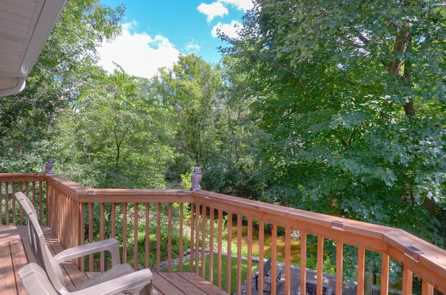 294 118th Ave NW, Coon Rapids, MN 55448 - photo 43