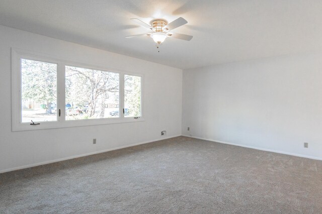 7740 Arlington Ave N, Brooklyn Park, MN 55443 - photo 11