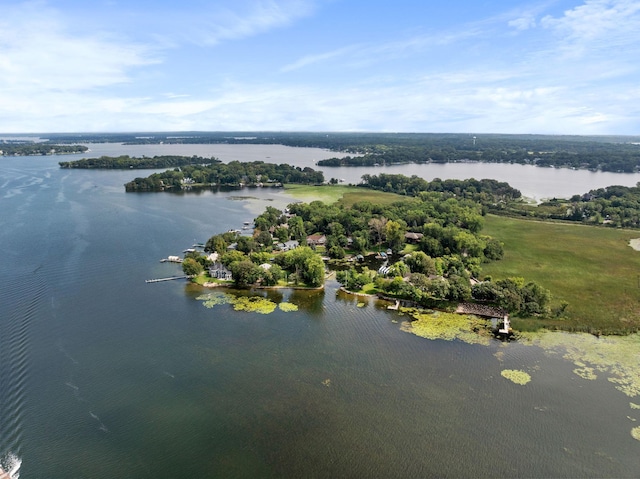4360 Enchanted Dr, Shorewood, MN 55364 - photo 95
