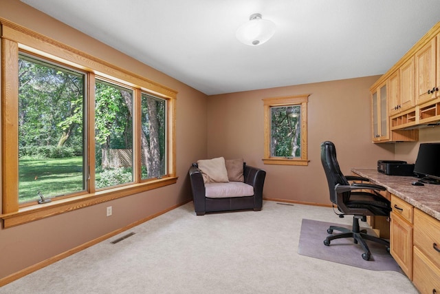 6 Deer Ridge Rd, Kenyon, MN 55946 - photo 10
