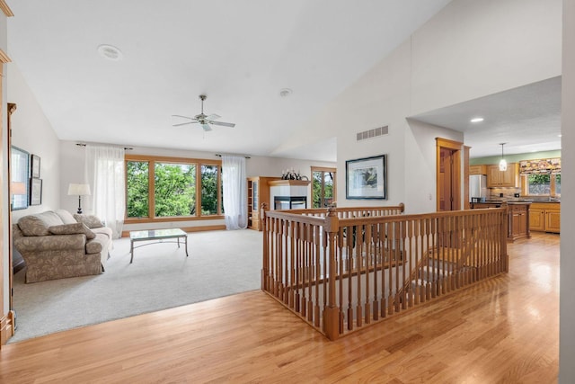 6 Deer Ridge Rd, Kenyon, MN 55946 - photo 11