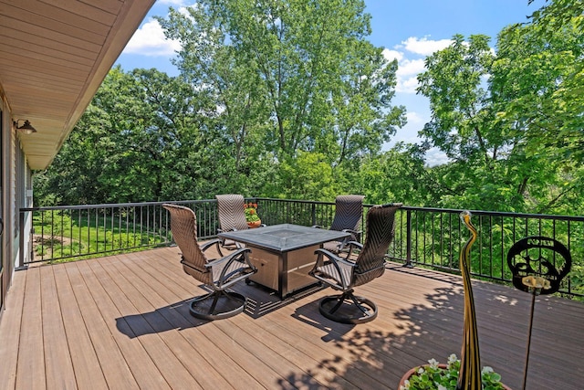 6 Deer Ridge Rd, Kenyon, MN 55946 - photo 28