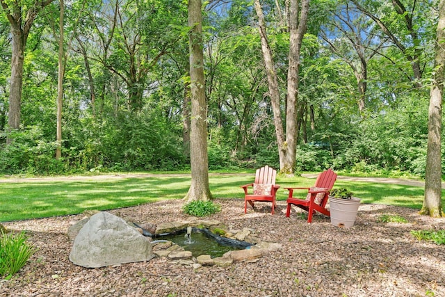 6 Deer Ridge Rd, Kenyon, MN 55946 - photo 57