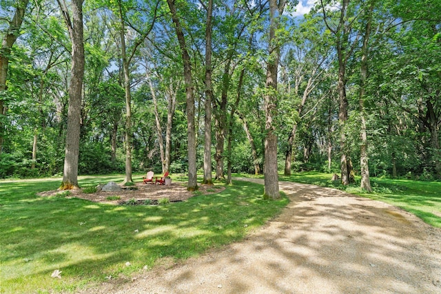 6 Deer Ridge Rd, Kenyon, MN 55946 - photo 58