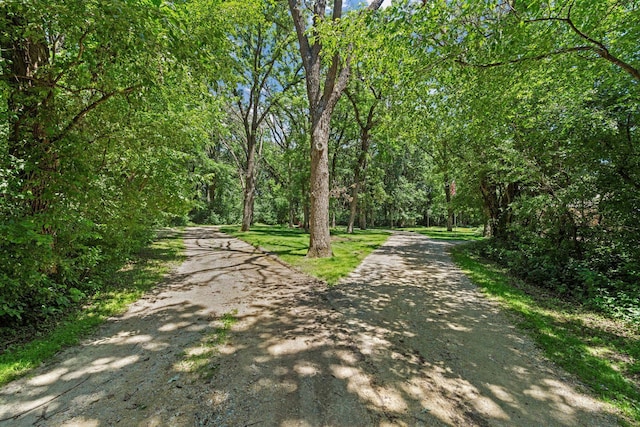 6 Deer Ridge Rd, Kenyon, MN 55946 - photo 64