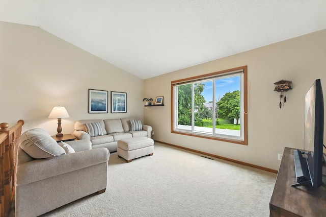7293 159th St W, Apple Valley, MN 55124 - photo 7