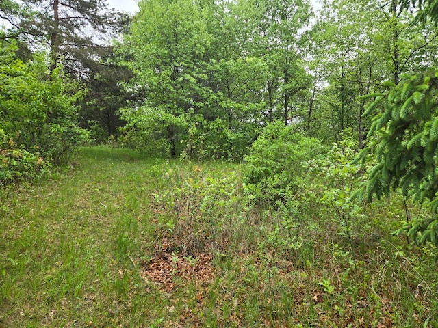 Listing photo 9 - caption unavailable
