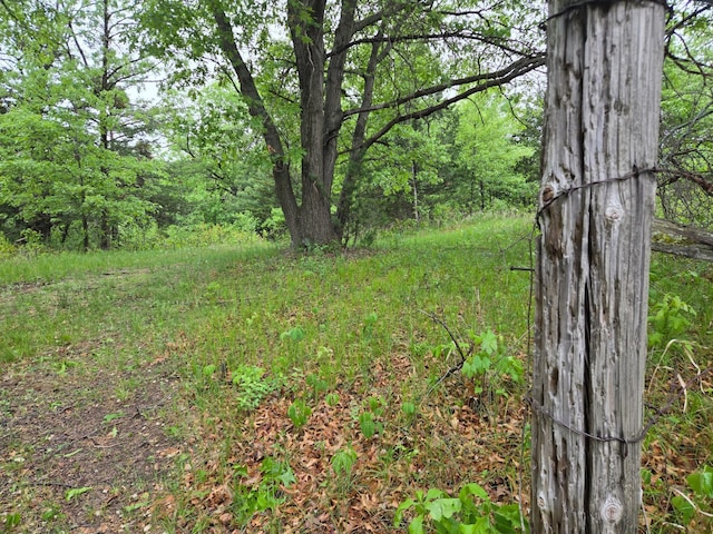 Listing photo 42 - caption unavailable