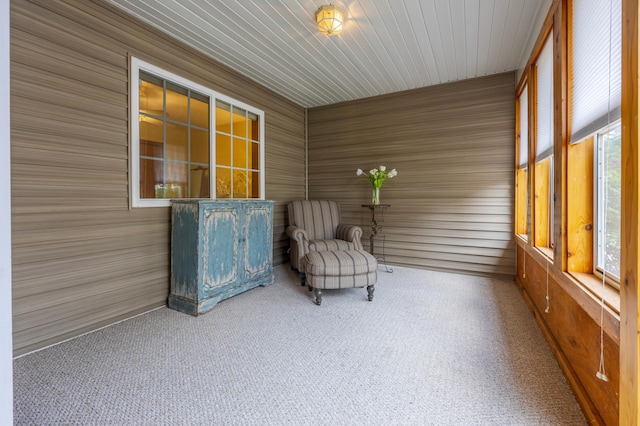 1404 3rd St SE, New Prague, MN 56071 - photo 25