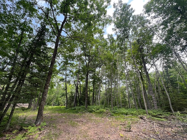 TBD Rash Forest Rd, Kingsdale, MN 55072 - photo 8
