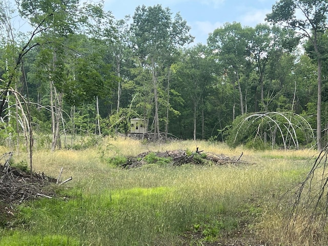 TBD Rash Forest Rd, Kingsdale, MN 55072 - photo 9