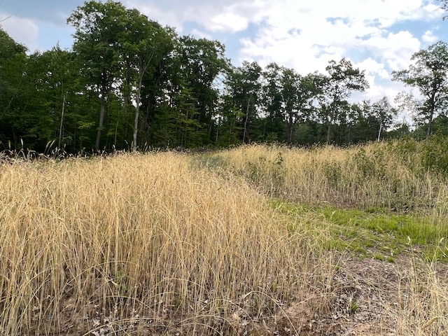 TBD Rash Forest Rd, Kingsdale, MN 55072 - photo 10