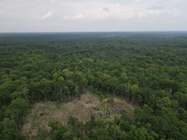 TBD Rash Forest Rd, Kingsdale, MN 55072 - photo 12