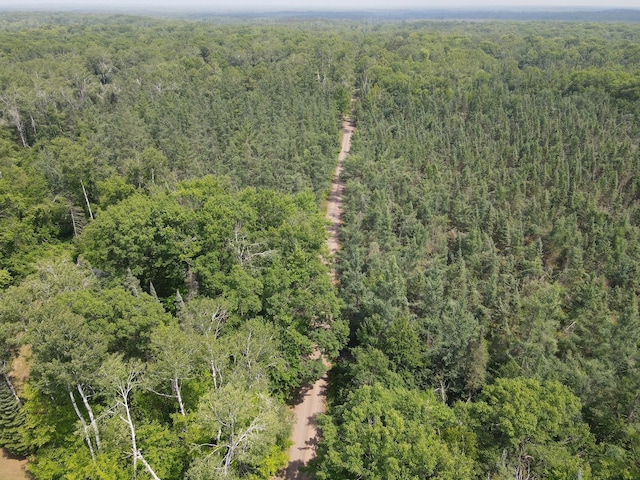 TBD Rash Forest Rd, Kingsdale, MN 55072 - photo 21