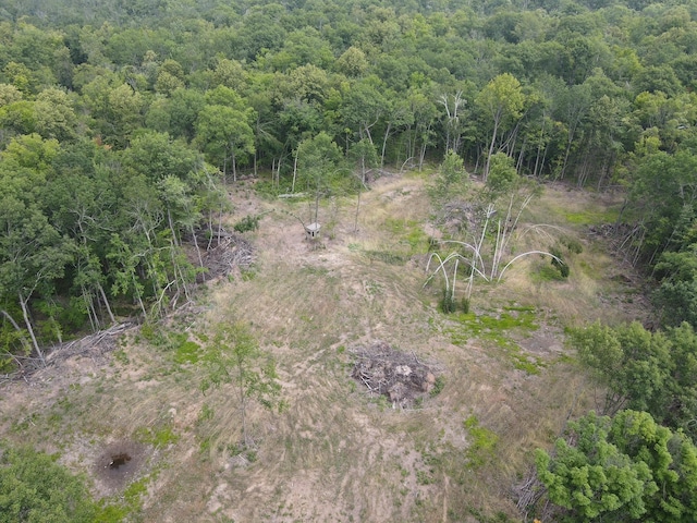 TBD Rash Forest Rd, Kingsdale, MN 55072 - photo 22