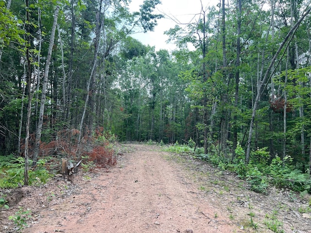 TBD Rash Forest Rd, Kingsdale, MN 55072 - photo 23