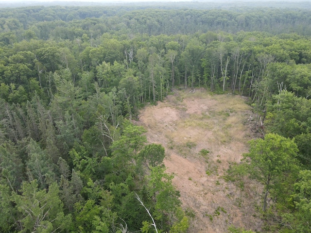 TBD Rash Forest Rd, Kingsdale, MN 55072 - photo 27