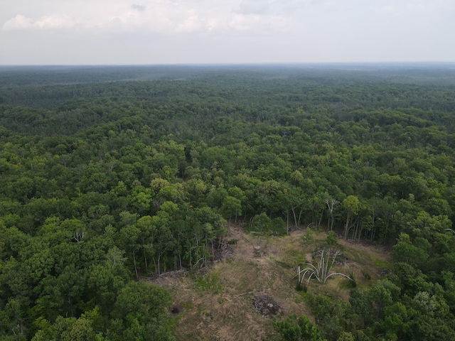 TBD Rash Forest Rd, Kingsdale, MN 55072 - photo 28