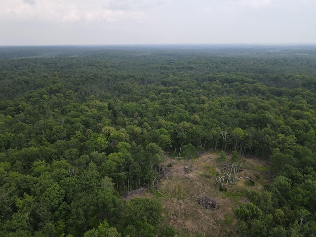 TBD Rash Forest Rd, Kingsdale, MN 55072 - photo 31
