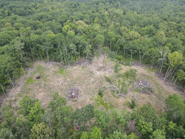 TBD Rash Forest Rd, Kingsdale, MN 55072 - photo 32