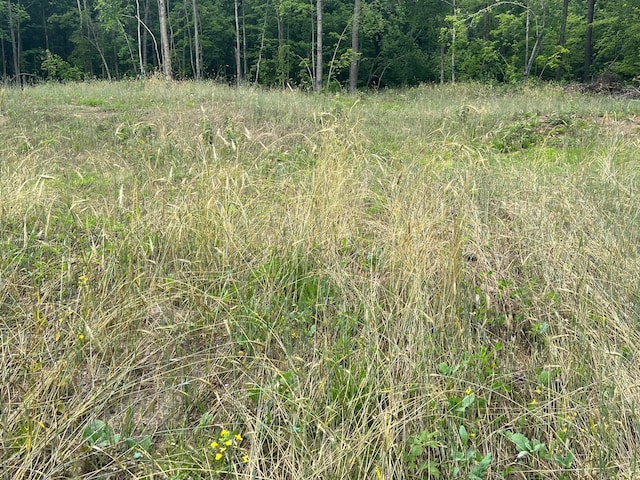 TBD Rash Forest Rd, Kingsdale, MN 55072 - photo 33