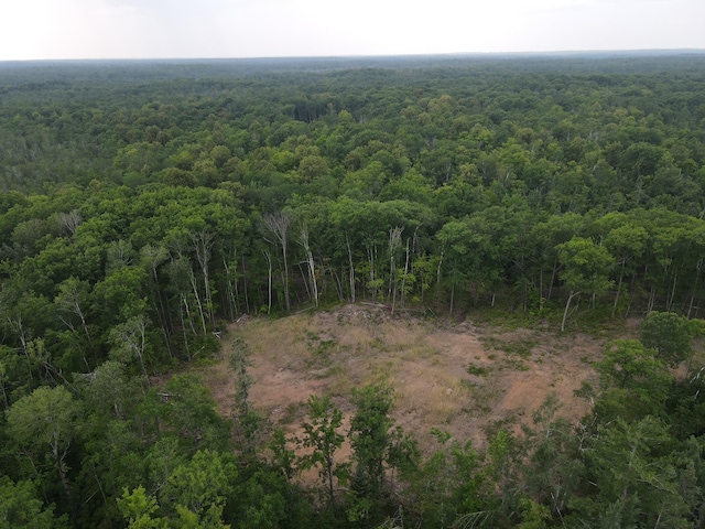 TBD Rash Forest Rd, Kingsdale, MN 55072 - photo 36
