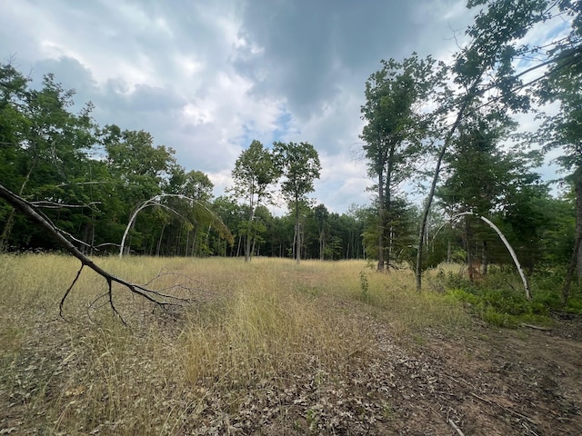 TBD Rash Forest Rd, Kingsdale, MN 55072 - photo 44