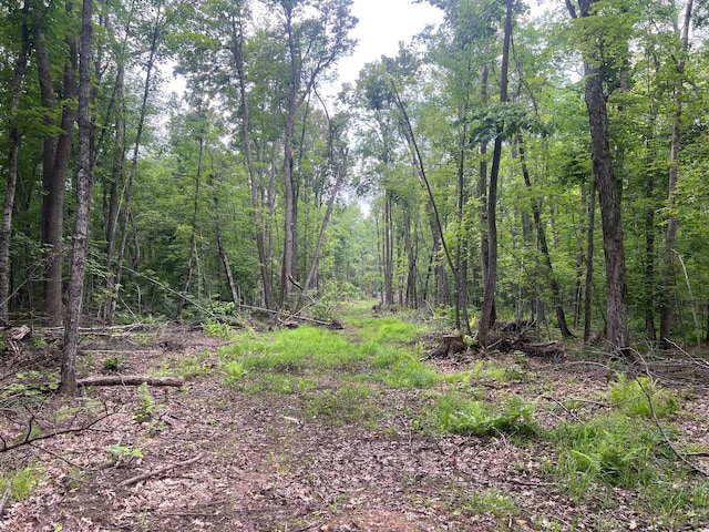 TBD Rash Forest Rd, Kingsdale, MN 55072 - photo 45