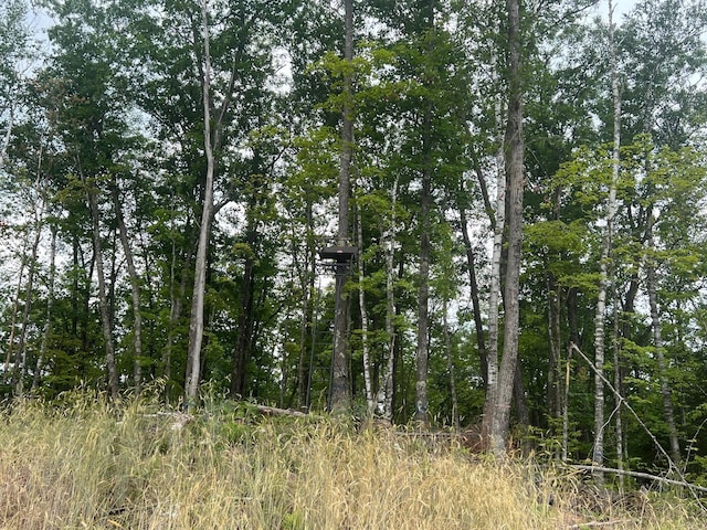 TBD Rash Forest Rd, Kingsdale, MN 55072 - photo 46