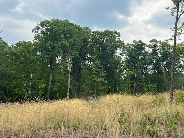 TBD Rash Forest Rd, Kingsdale, MN 55072 - photo 47