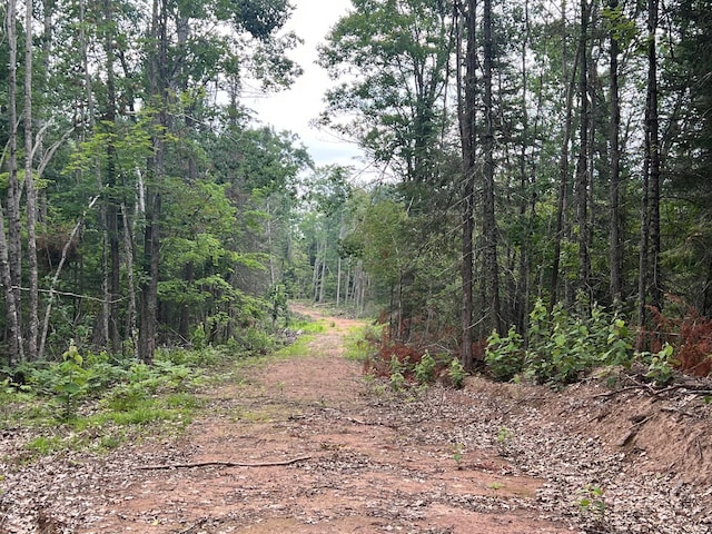 TBD Rash Forest Rd, Kingsdale, MN 55072 - photo 48