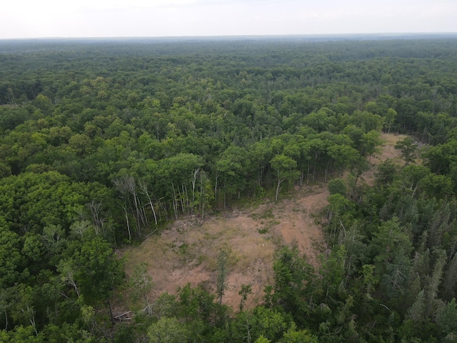 TBD Rash Forest Rd, Kingsdale, MN 55072 - photo 49