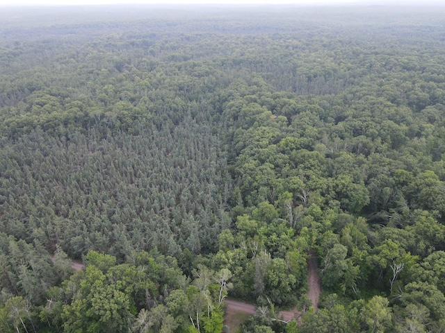 TBD Rash Forest Rd, Kingsdale, MN 55072 - photo 51