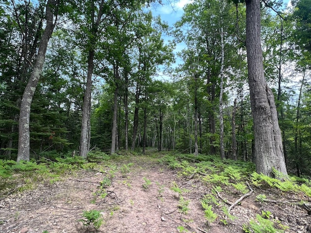TBD Rash Forest Rd, Kingsdale, MN 55072 - photo 53