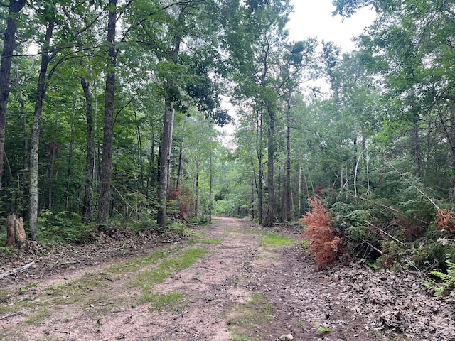 TBD Rash Forest Rd, Kingsdale, MN 55072 - photo 54