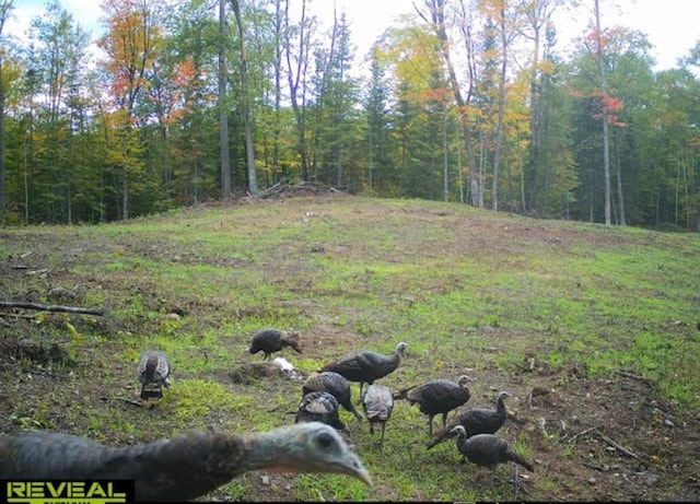 TBD Rash Forest Rd, Kingsdale, MN 55072 - photo 56