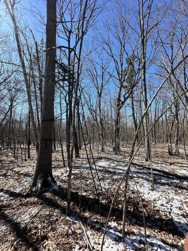TBD Rash Forest Rd, Kingsdale, MN 55072 - photo 58