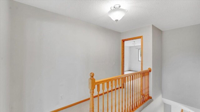 1506 Pulaski Rd, Buffalo, MN 55313 - photo 16